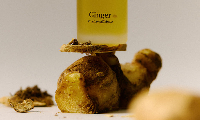 The Warming Energy That Awakens the Body, Ginger