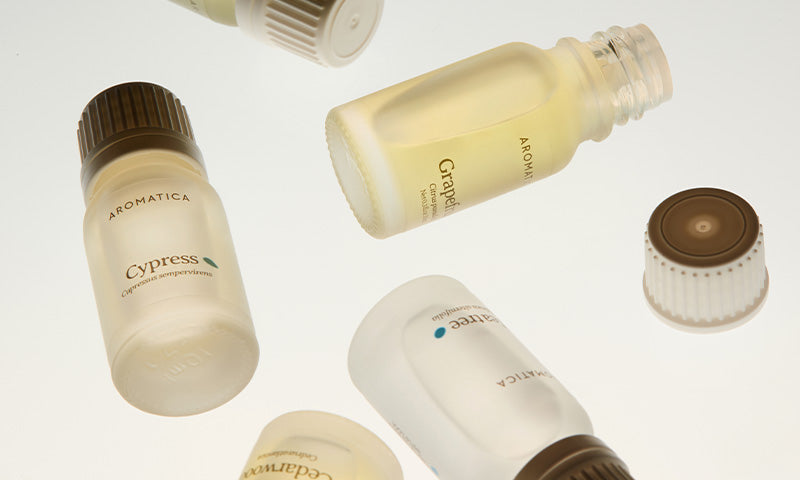 Aromatherapy and Essential Oils: A Beginner’s Guide to Aromatherapy