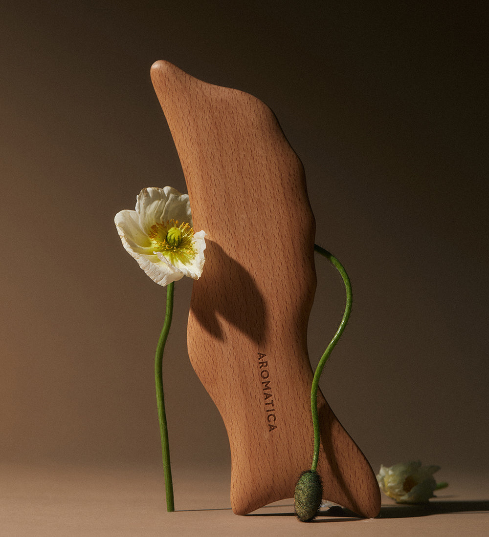 イルカマッサージャー