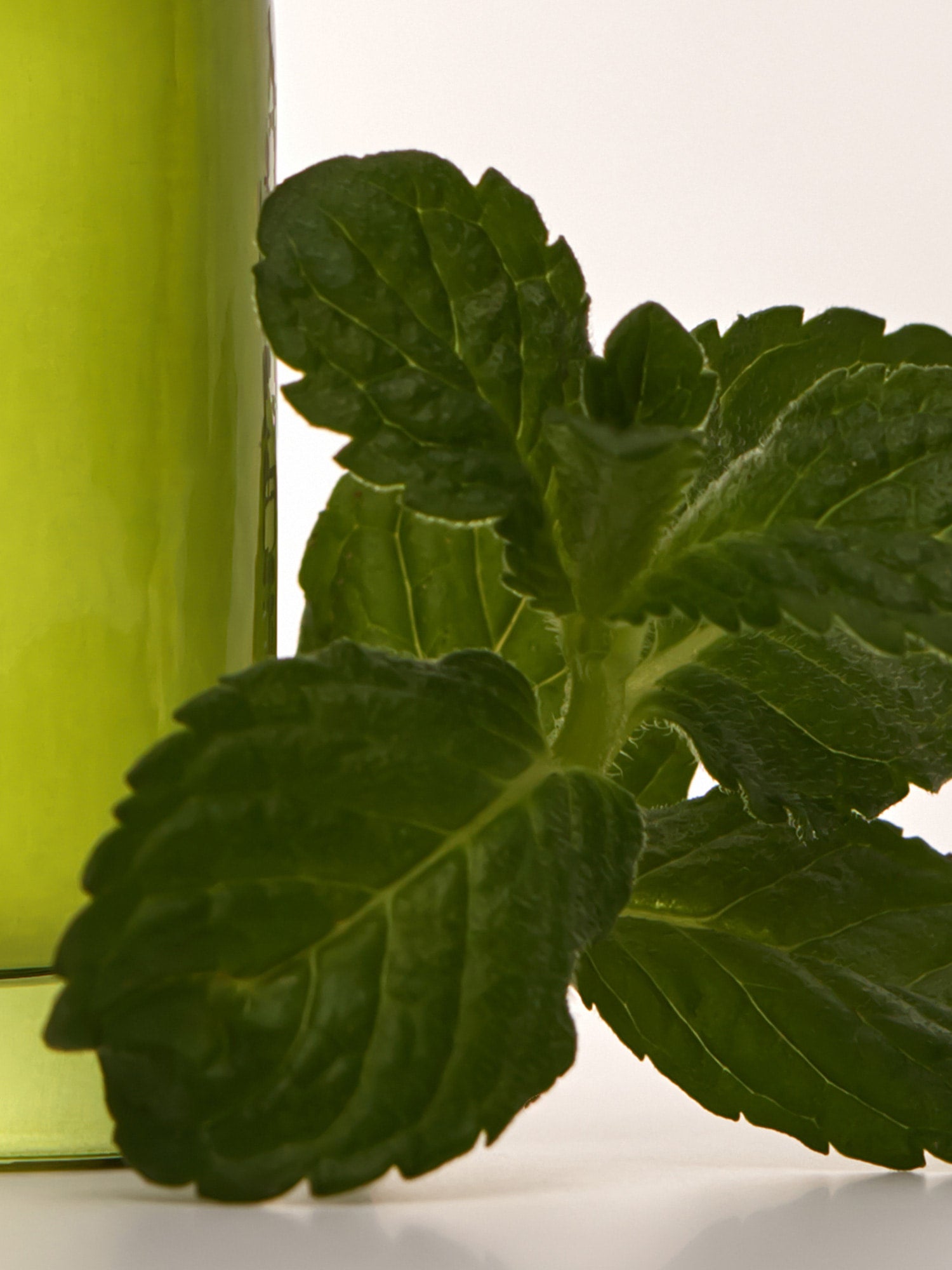 Aromatherapy Roll-On Clear Focus 9ml