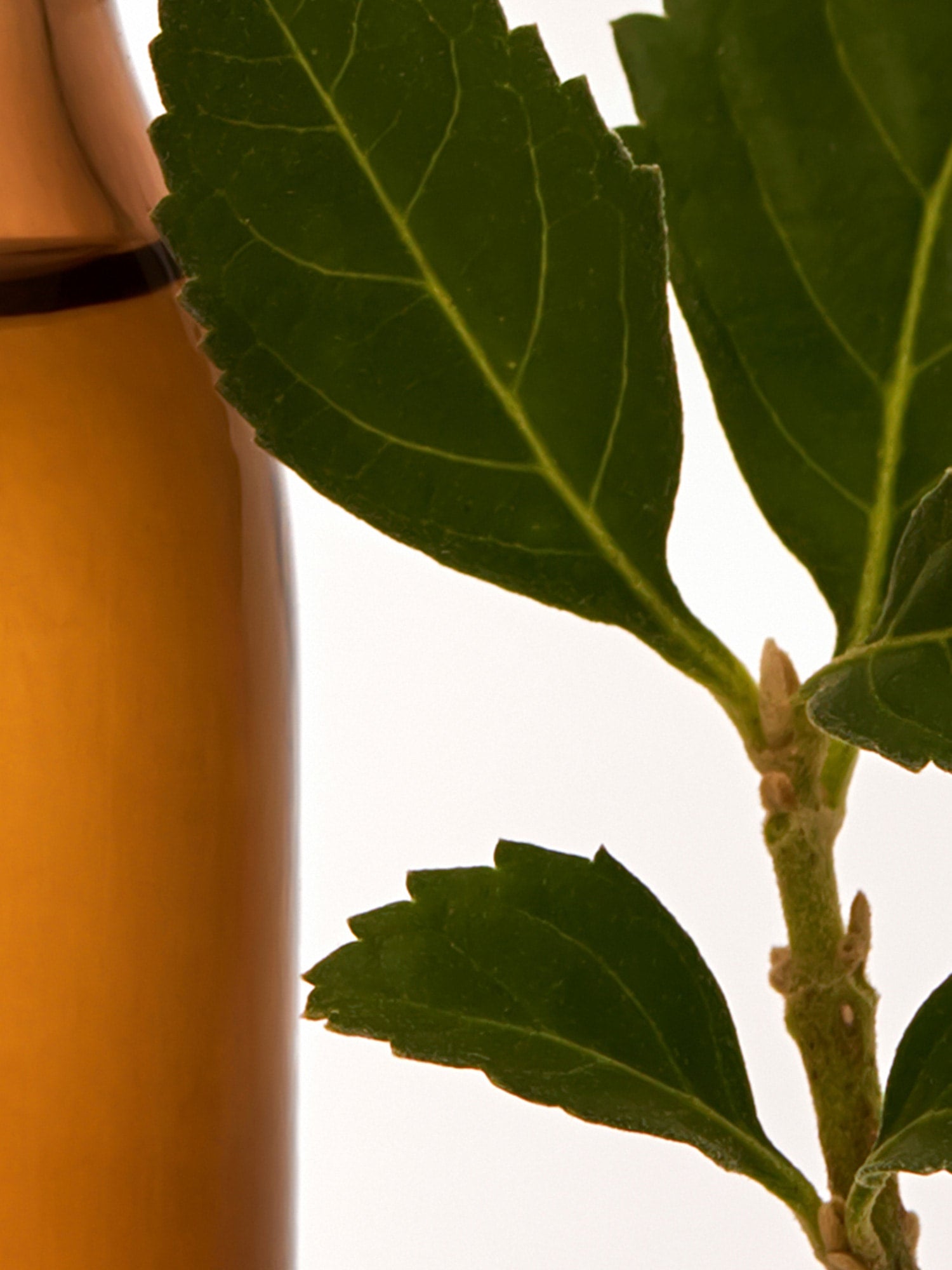 Aromatherapy Roll-On Deep Sleep 9ml