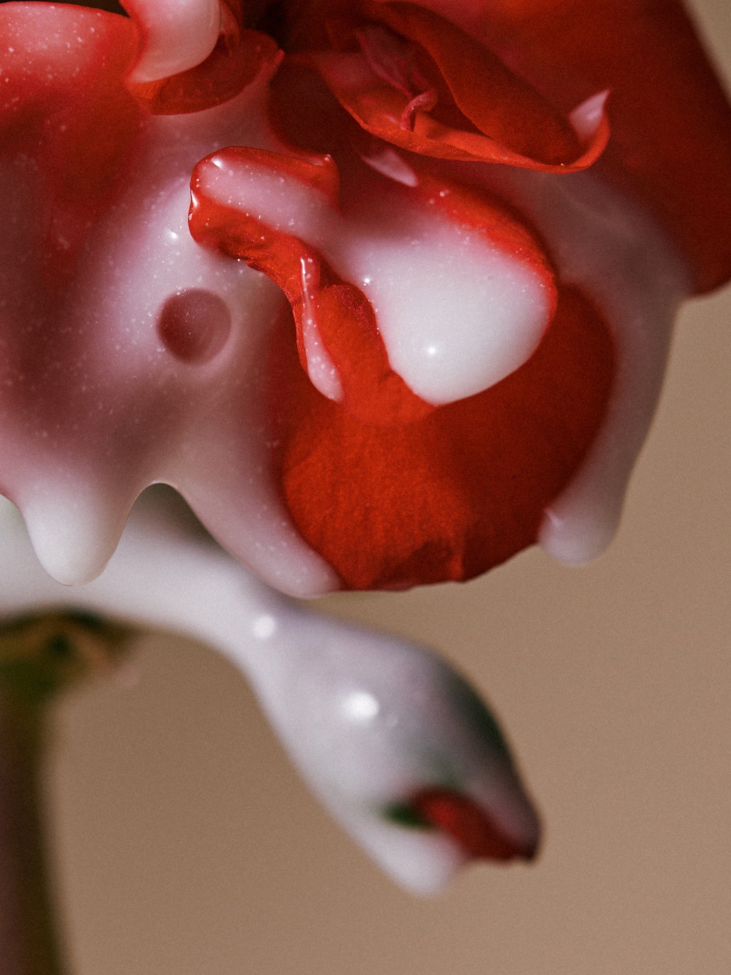 キヌアプロテインヘアアンプル 100ml