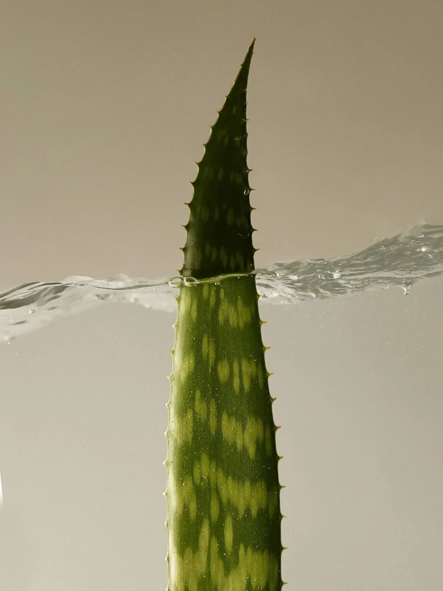 Soothing Aloe Vera Gel 500ml & Refill 500ml x2